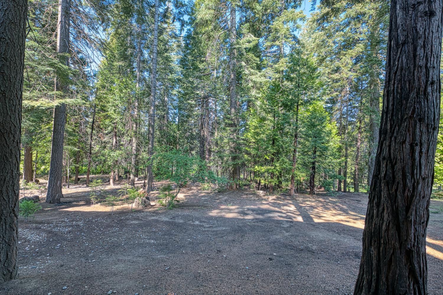 41228 Heartwood Ln, Shaver Lake, CA 93664