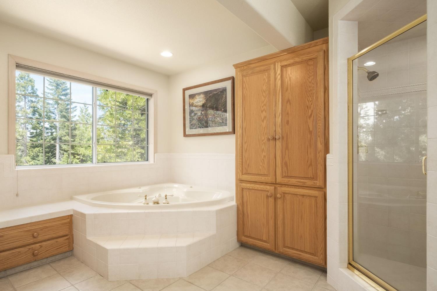 41035 Cold Springs Ln, Shaver Lake, CA 93664