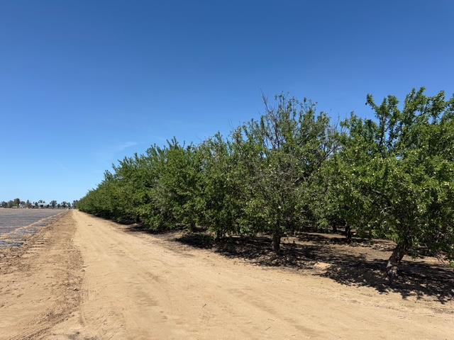 4234 W Church Ave, Fresno, CA 93706