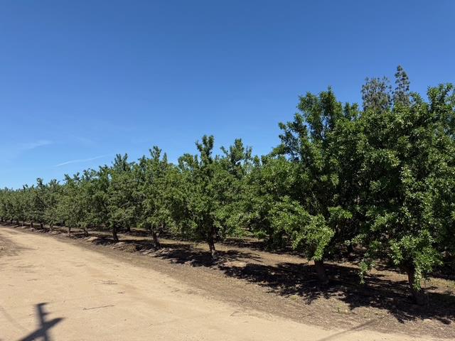 4234 W Church Ave, Fresno, CA 93706