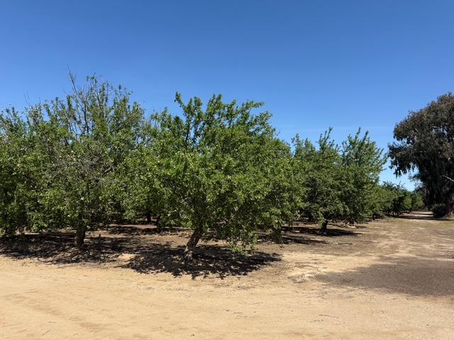 4114 W Church Ave, Fresno, CA 93706