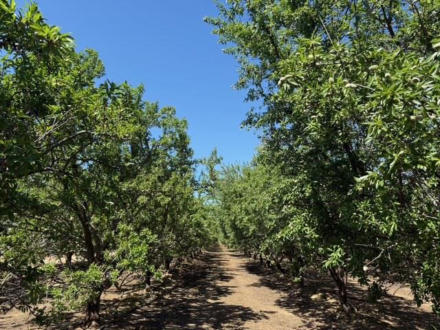 4114 W Church Ave, Fresno, CA 93706