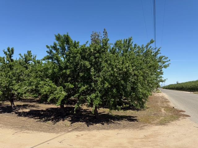 4114 W Church Ave, Fresno, CA 93706