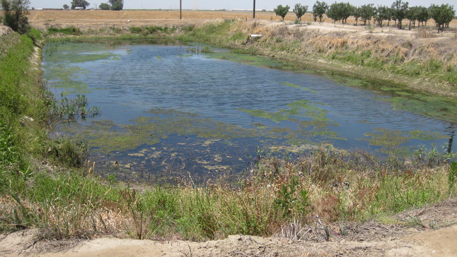 99999 NE Corner of Road 104 & Ave 104, Pixley, CA 93256