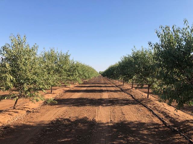 12000 E Shaw Ave, Clovis, CA 93619