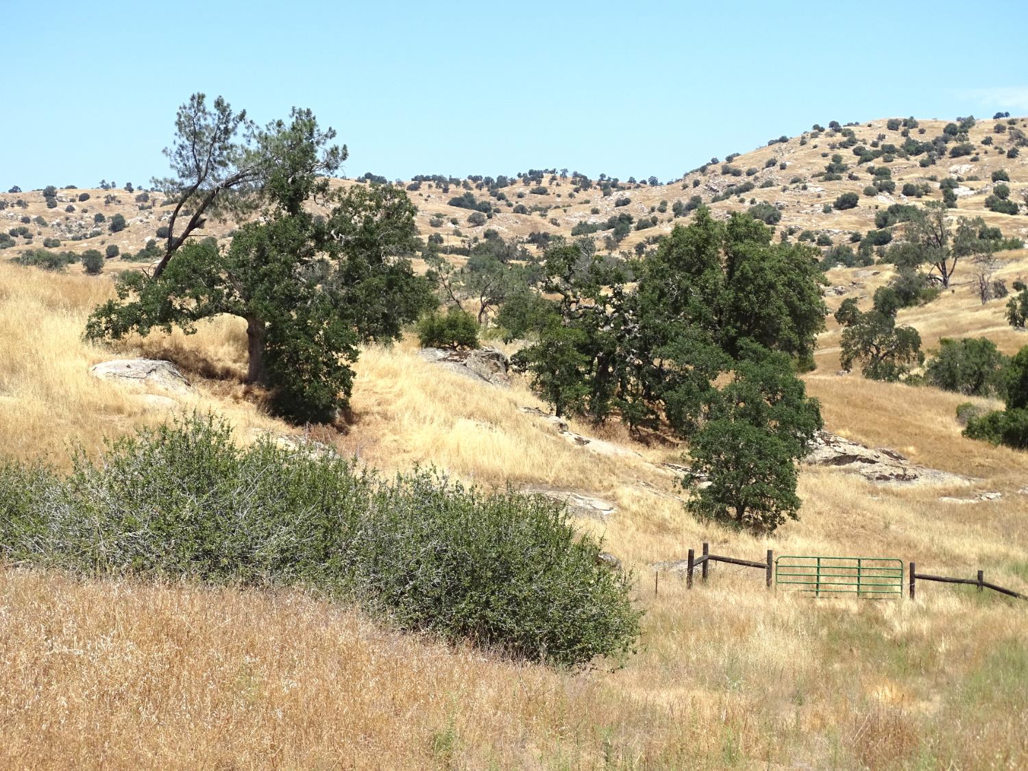 1 Millstream Ln, Madera, CA 93636