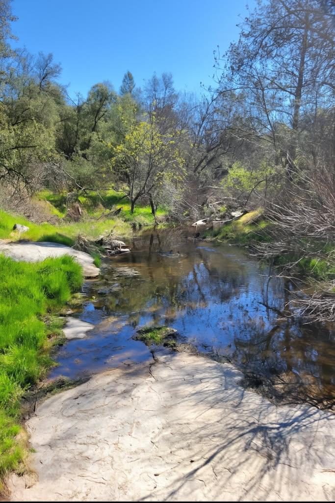 32413 Chickasaw Rd, Coarsegold, CA 93614