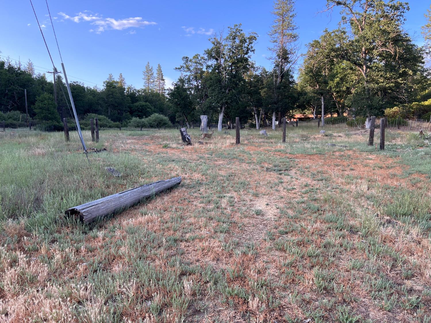 70 N Oak Ave, Hayfork, CA 96041