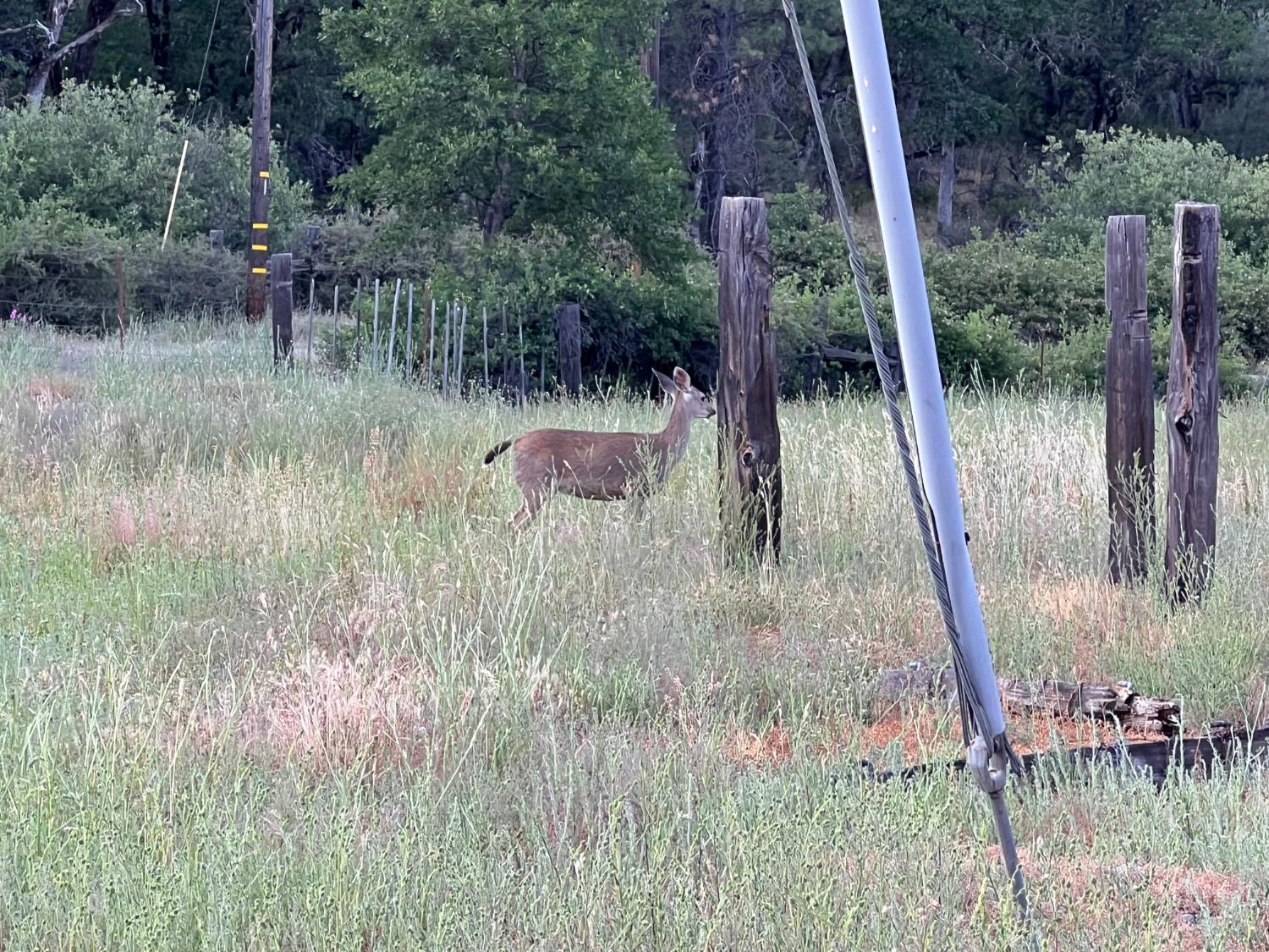 70 N Oak Ave, Hayfork, CA 96041