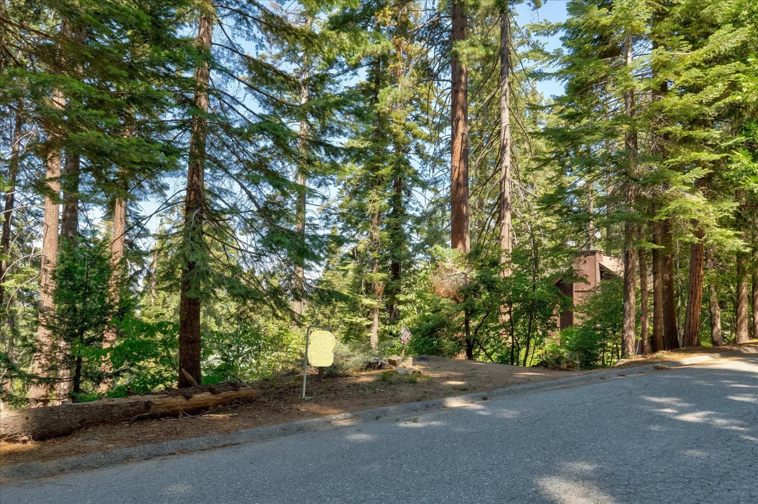 7419 Henness Ridge Rd, Yosemite West, CA 95389