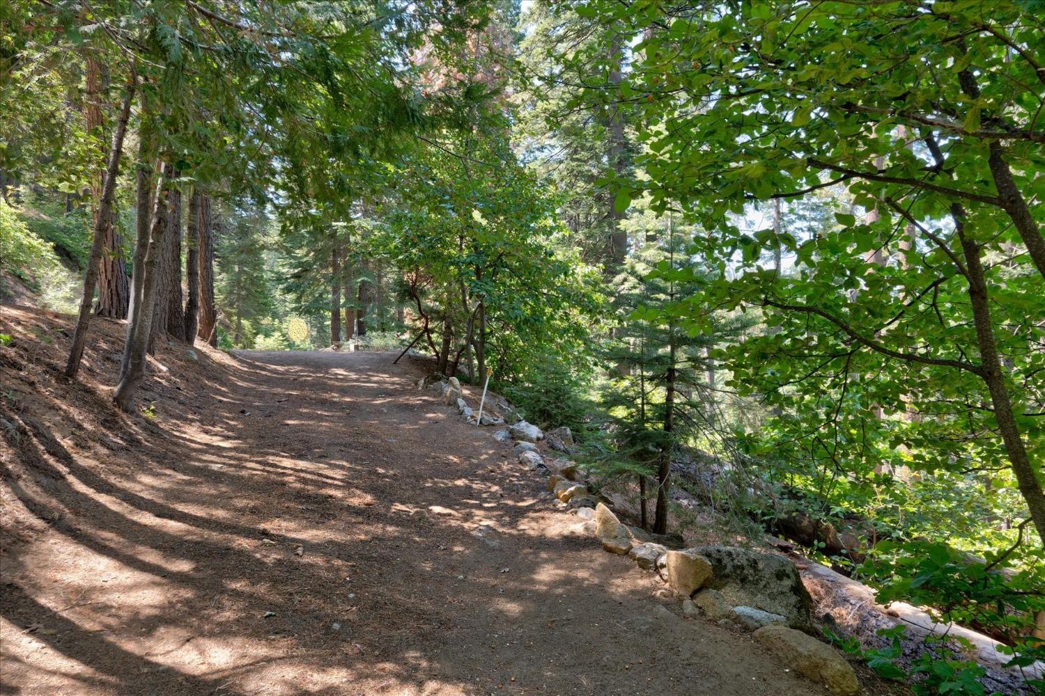 7419 Henness Ridge Rd, Yosemite West, CA 95389