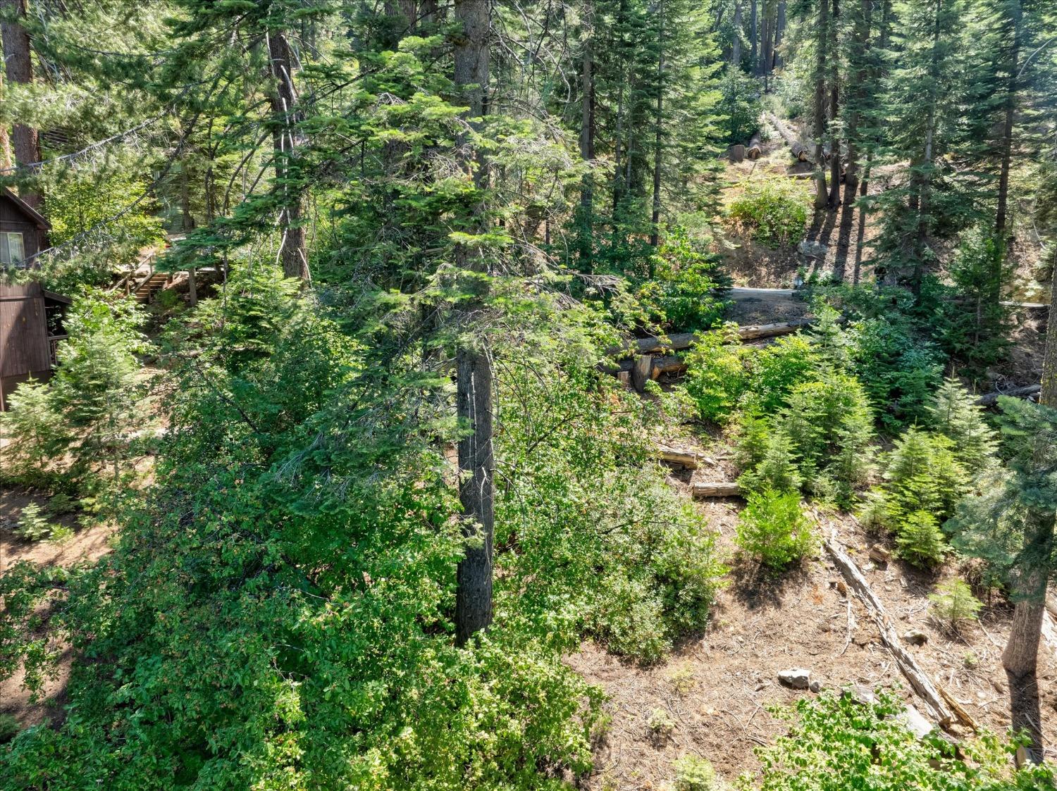7419 Henness Ridge Rd, Yosemite West, CA 95389