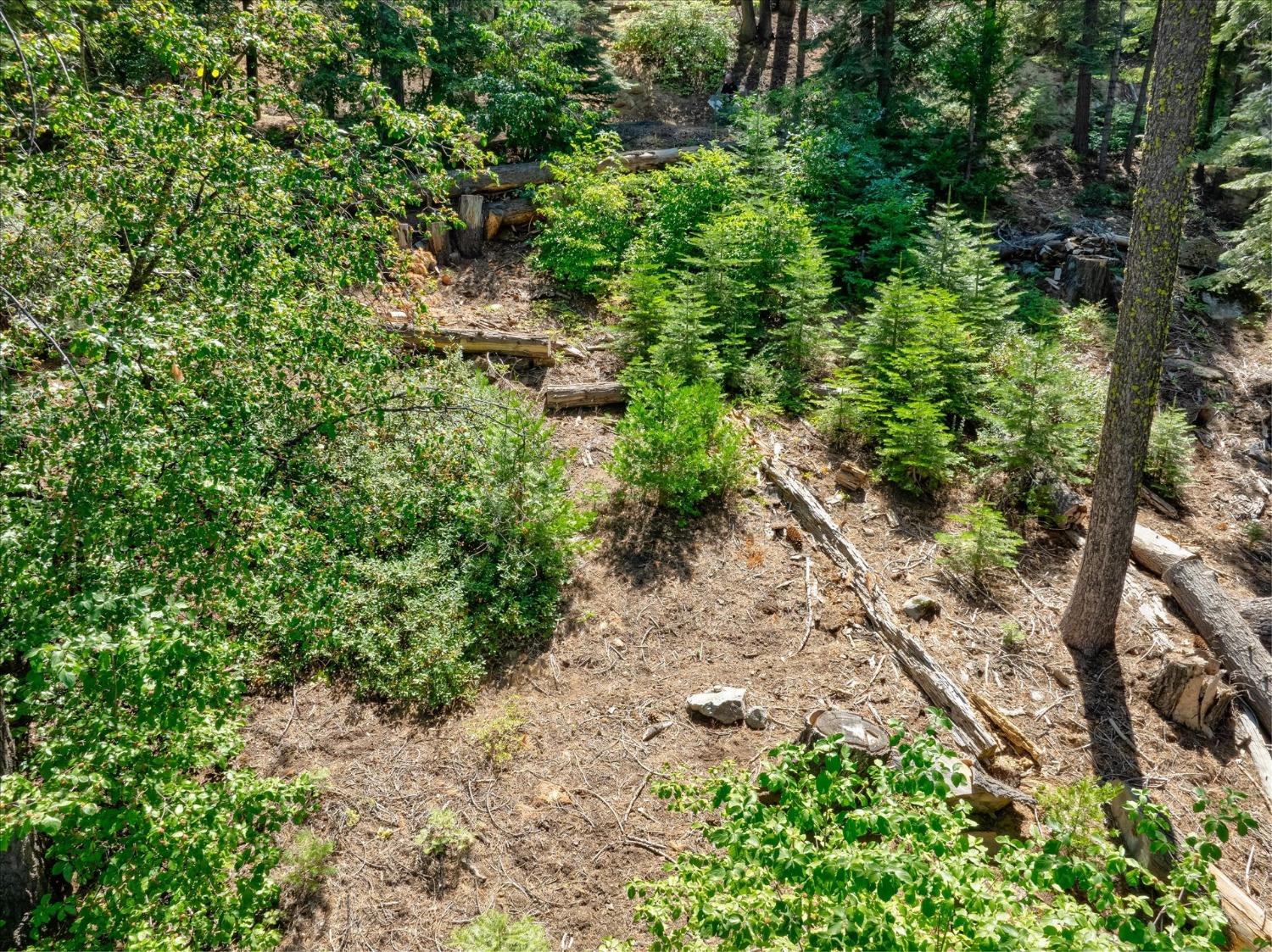 7419 Henness Ridge Rd, Yosemite West, CA 95389