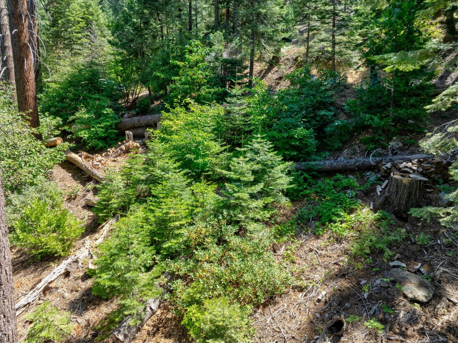 7419 Henness Ridge Rd, Yosemite West, CA 95389