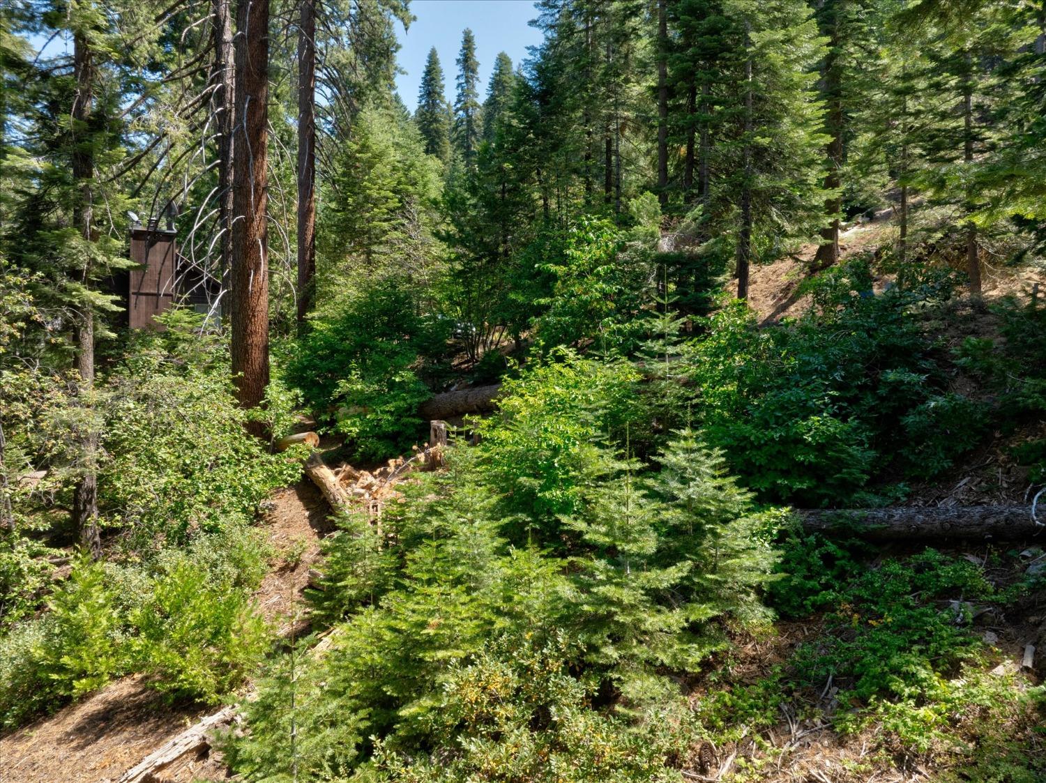 7419 Henness Ridge Rd, Yosemite West, CA 95389