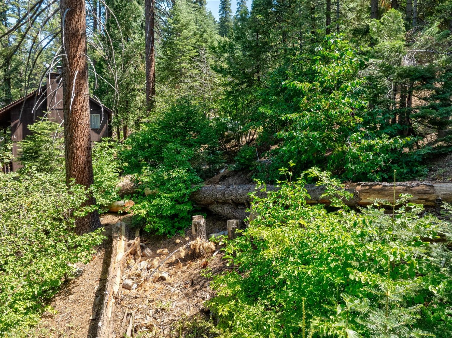 7419 Henness Ridge Rd, Yosemite West, CA 95389