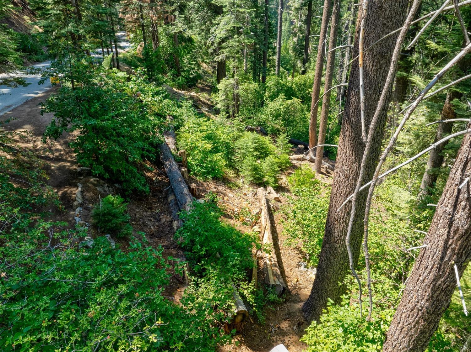 7419 Henness Ridge Rd, Yosemite West, CA 95389