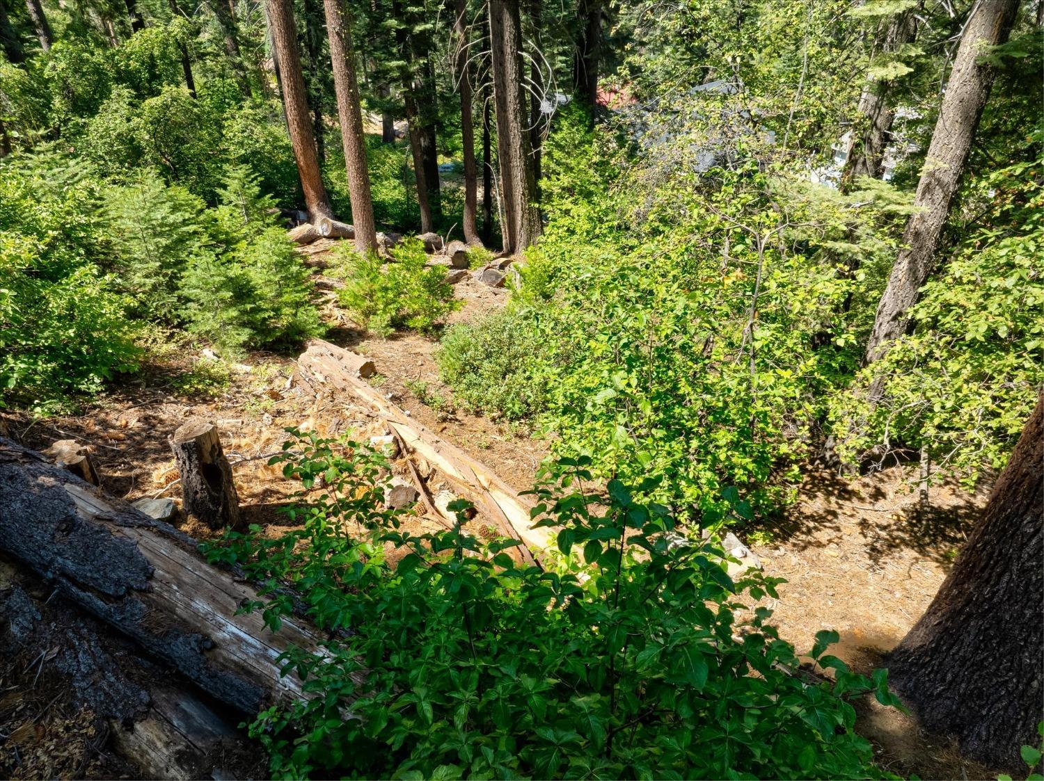 7419 Henness Ridge Rd, Yosemite West, CA 95389
