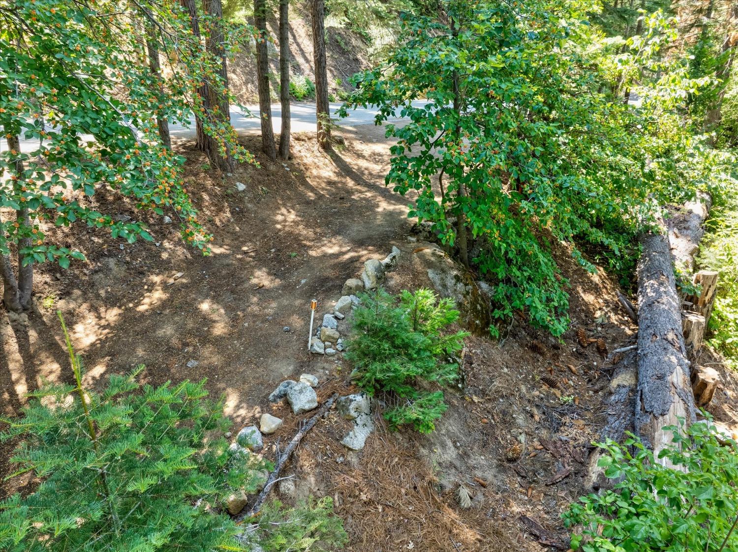 7419 Henness Ridge Rd, Yosemite West, CA 95389
