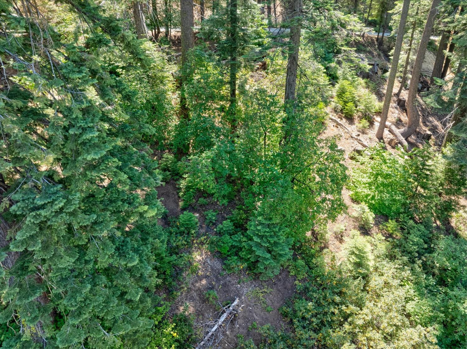 7419 Henness Ridge Rd, Yosemite West, CA 95389