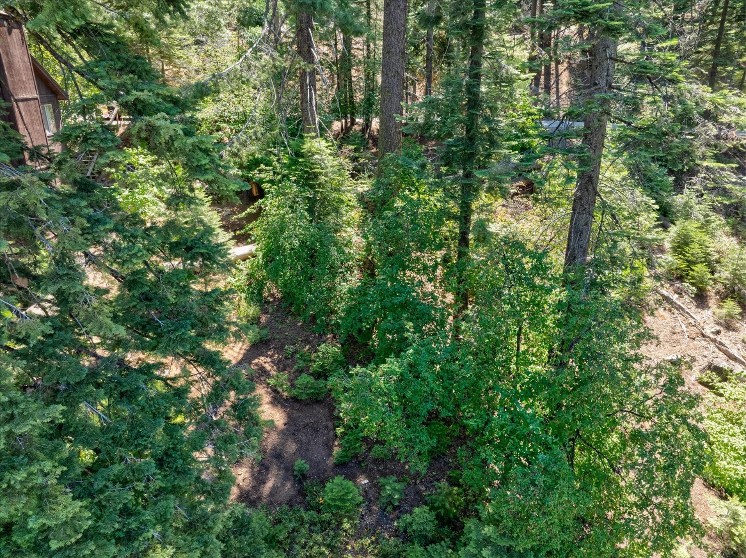 7419 Henness Ridge Rd, Yosemite West, CA 95389