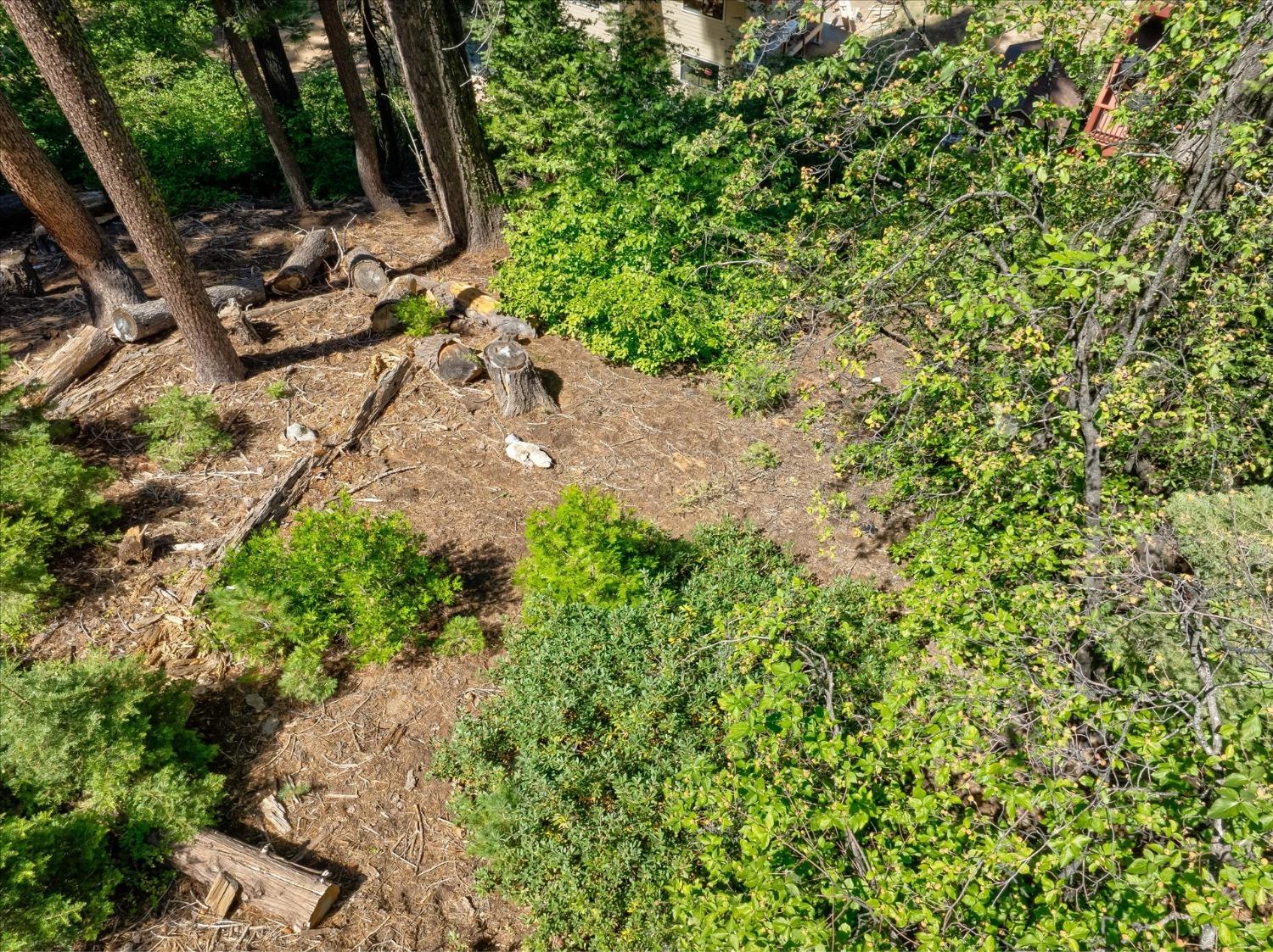 7419 Henness Ridge Rd, Yosemite West, CA 95389