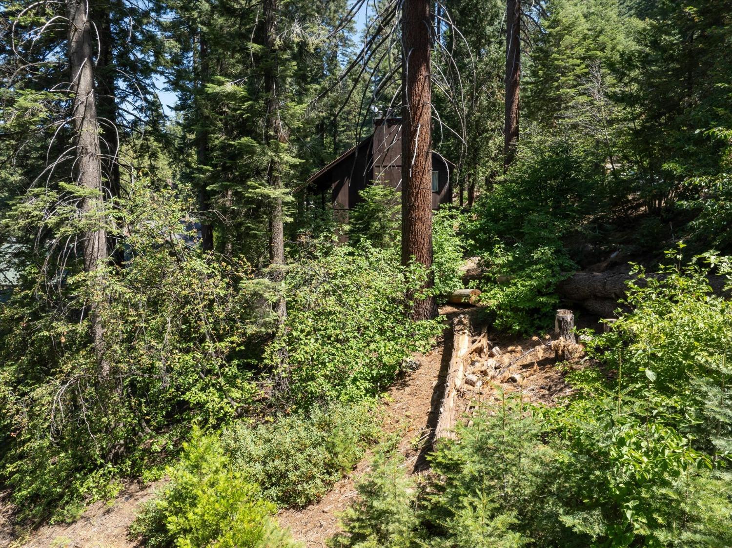 7419 Henness Ridge Rd, Yosemite West, CA 95389