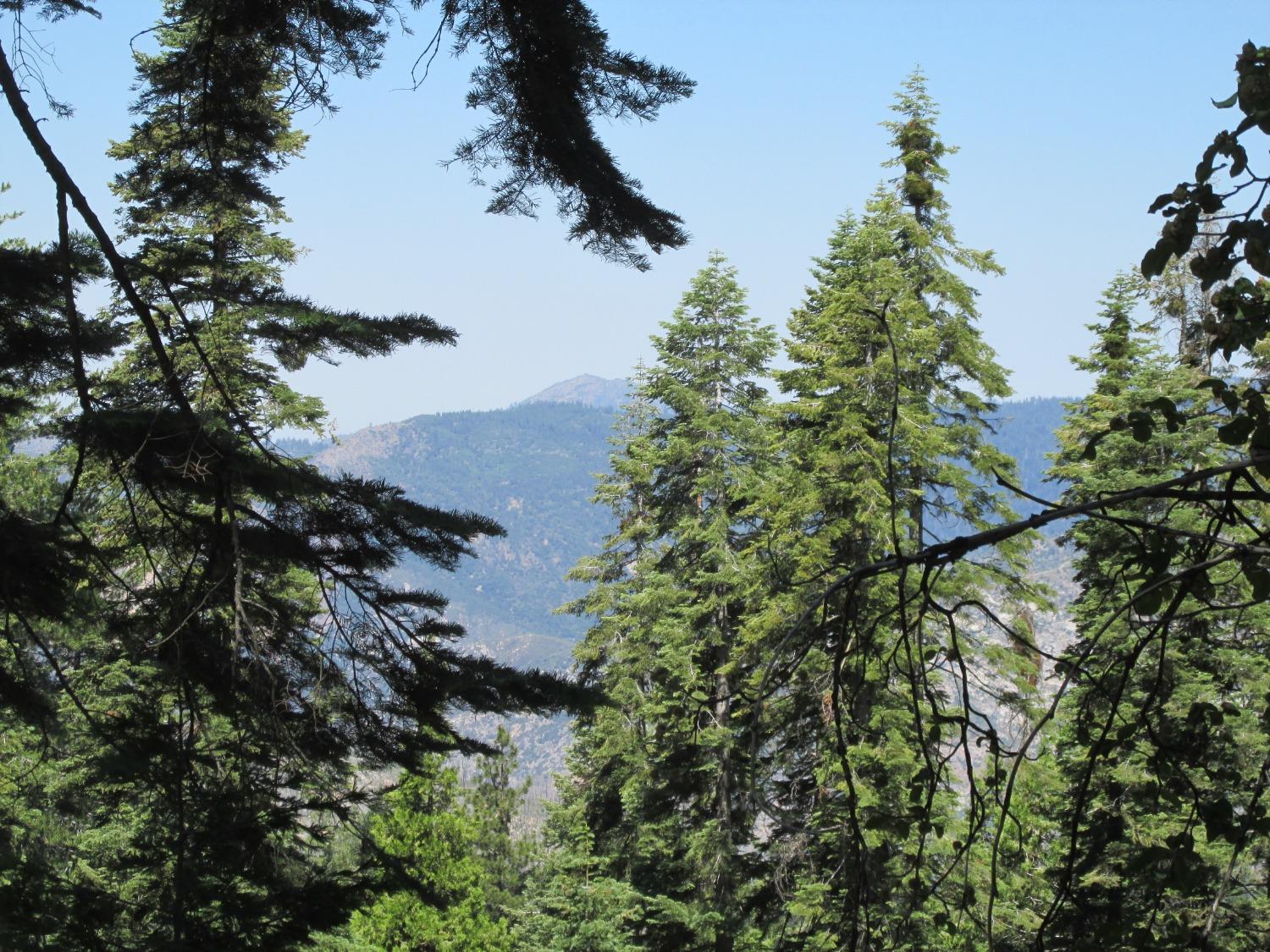 7419 Henness Ridge Rd, Yosemite West, CA 95389