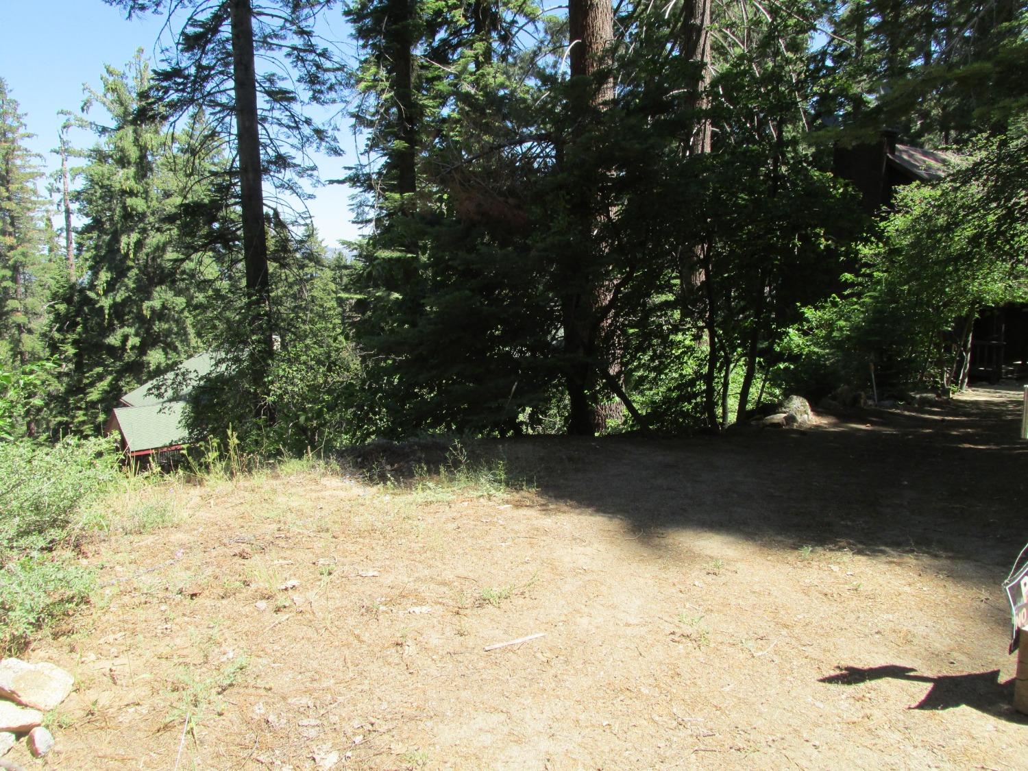 7419 Henness Ridge Rd, Yosemite West, CA 95389