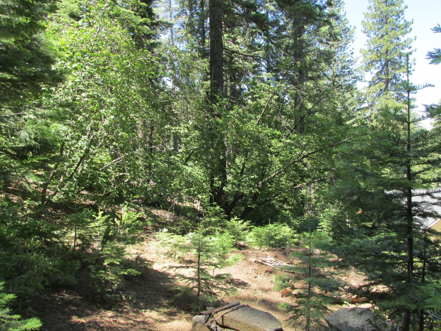 7419 Henness Ridge Rd, Yosemite West, CA 95389