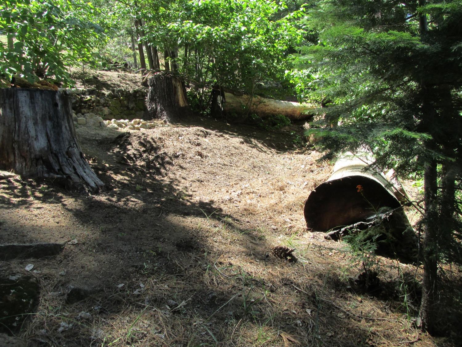 7419 Henness Ridge Rd, Yosemite West, CA 95389
