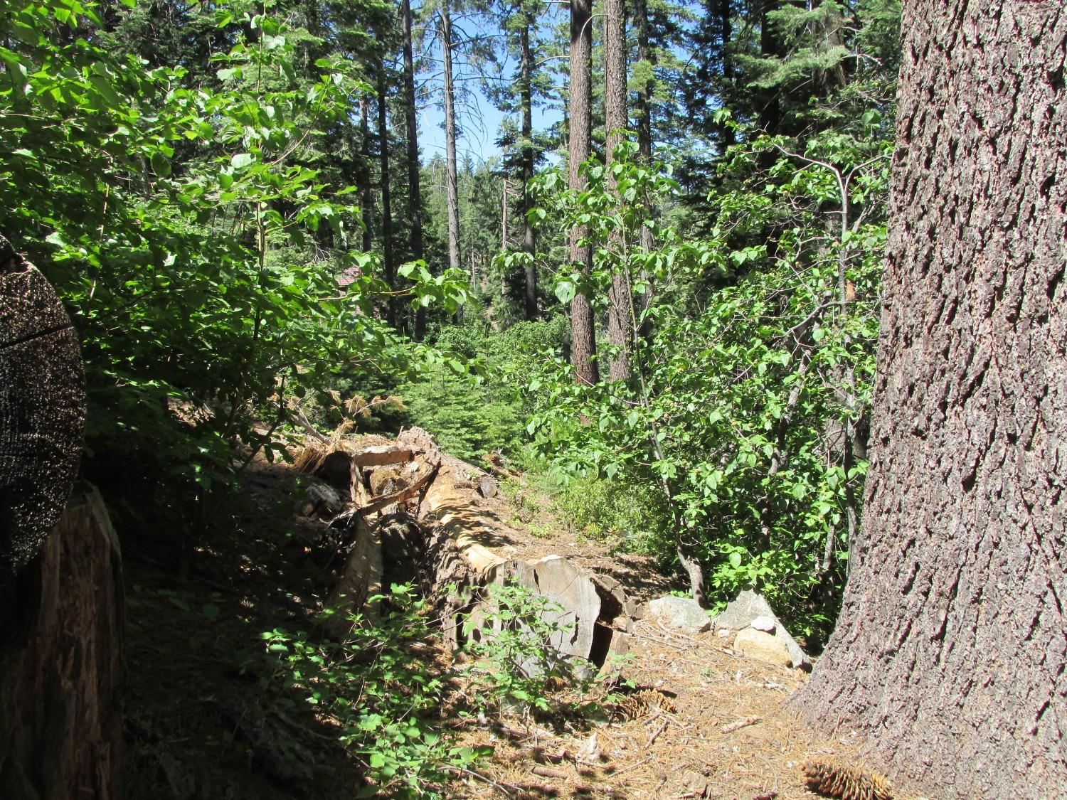 7419 Henness Ridge Rd, Yosemite West, CA 95389