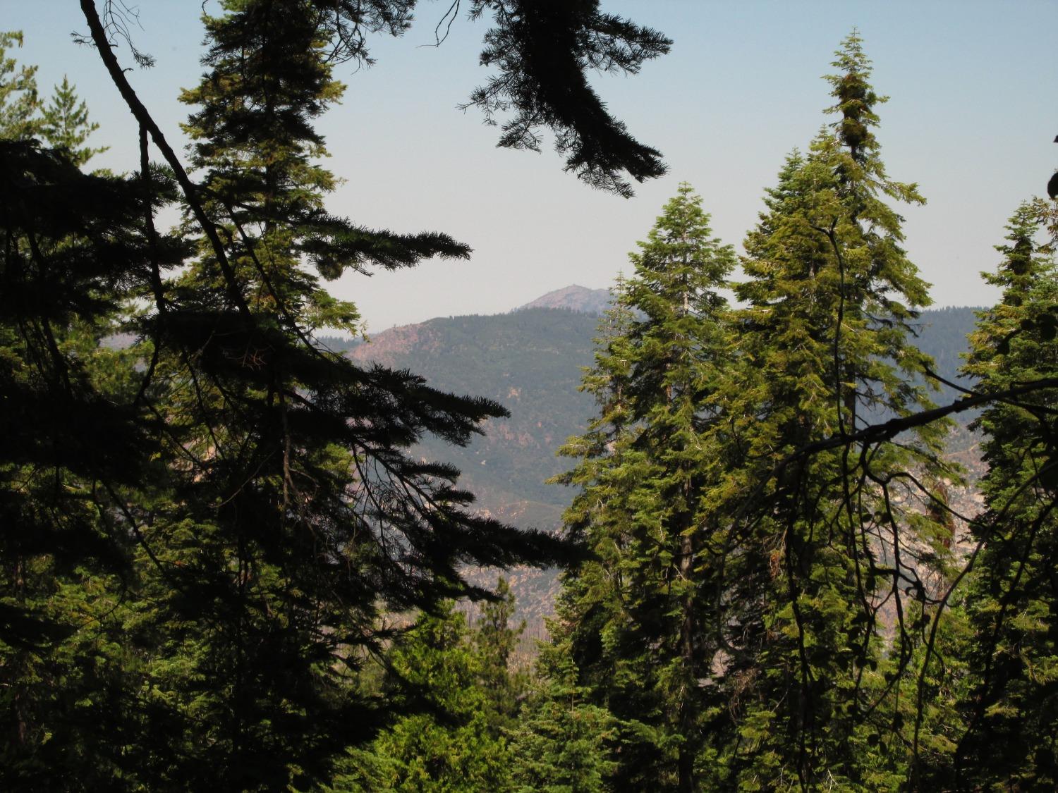 7419 Henness Ridge Rd, Yosemite West, CA 95389