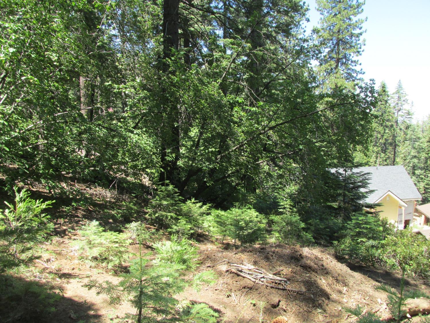 7419 Henness Ridge Rd, Yosemite West, CA 95389