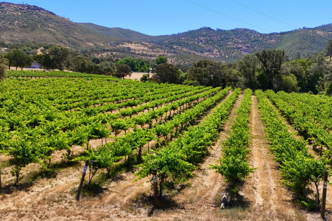 7551 Hunters Valley Rd, Mariposa, CA 95338