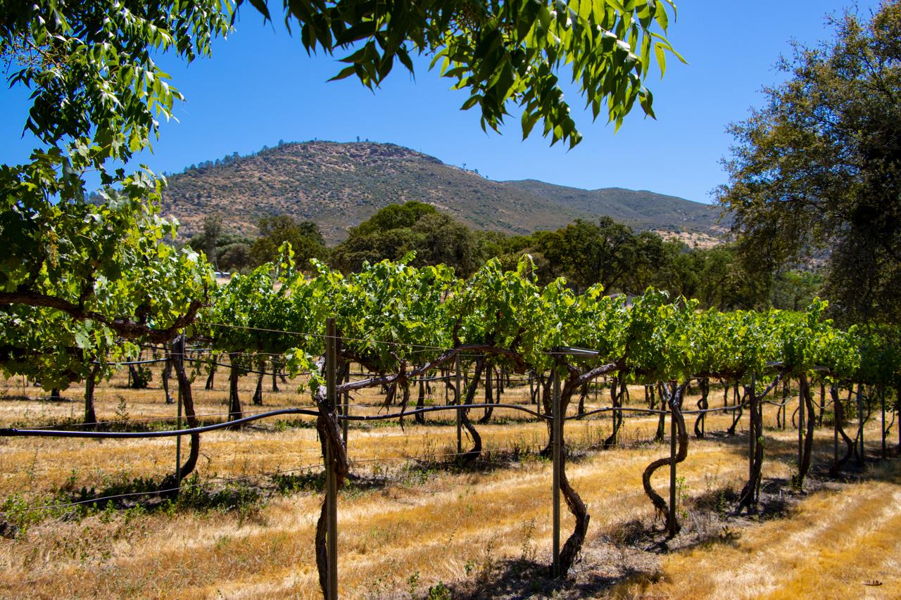 7551 Hunters Valley Rd, Mariposa, CA 95338