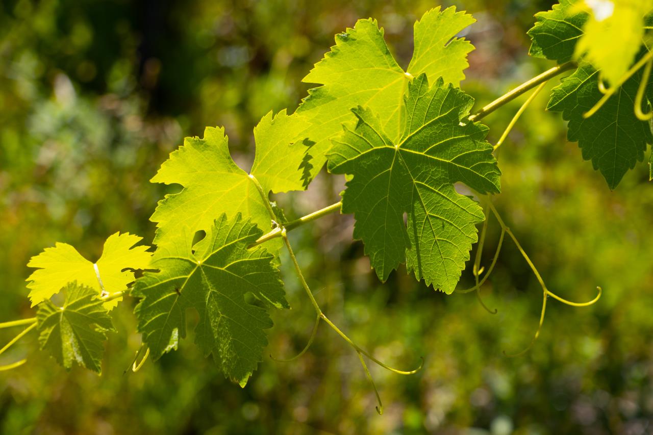 7551 Hunters Valley Rd, Mariposa, CA 95338