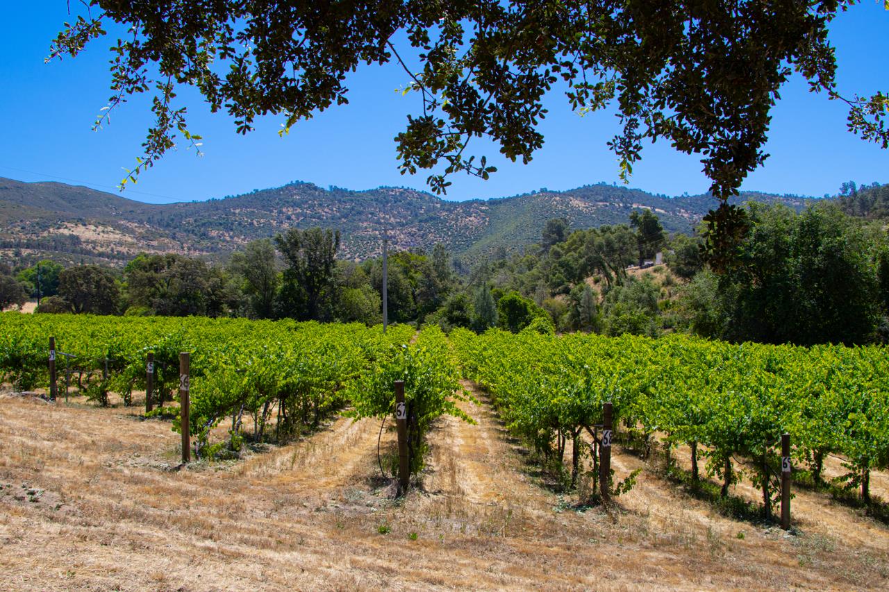 7551 Hunters Valley Rd, Mariposa, CA 95338