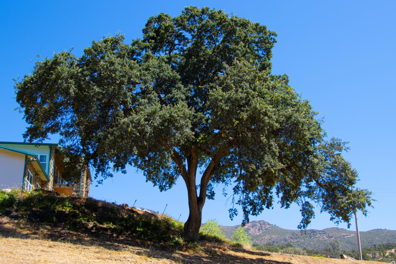 7551 Hunters Valley Rd, Mariposa, CA 95338