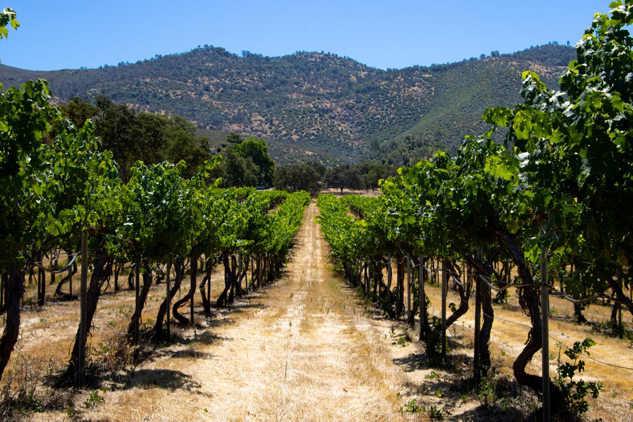 7551 Hunters Valley Rd, Mariposa, CA 95338