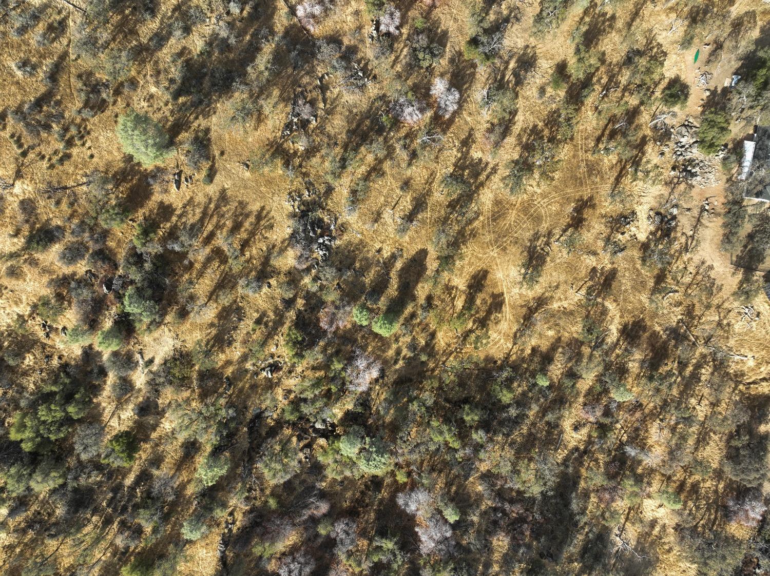 1203 Corral Dr, Coarsegold, CA 93614