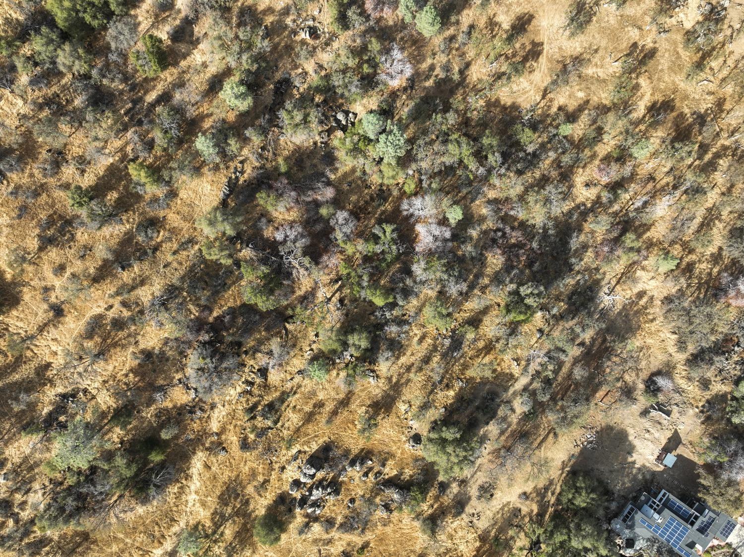 1203 Corral Dr, Coarsegold, CA 93614