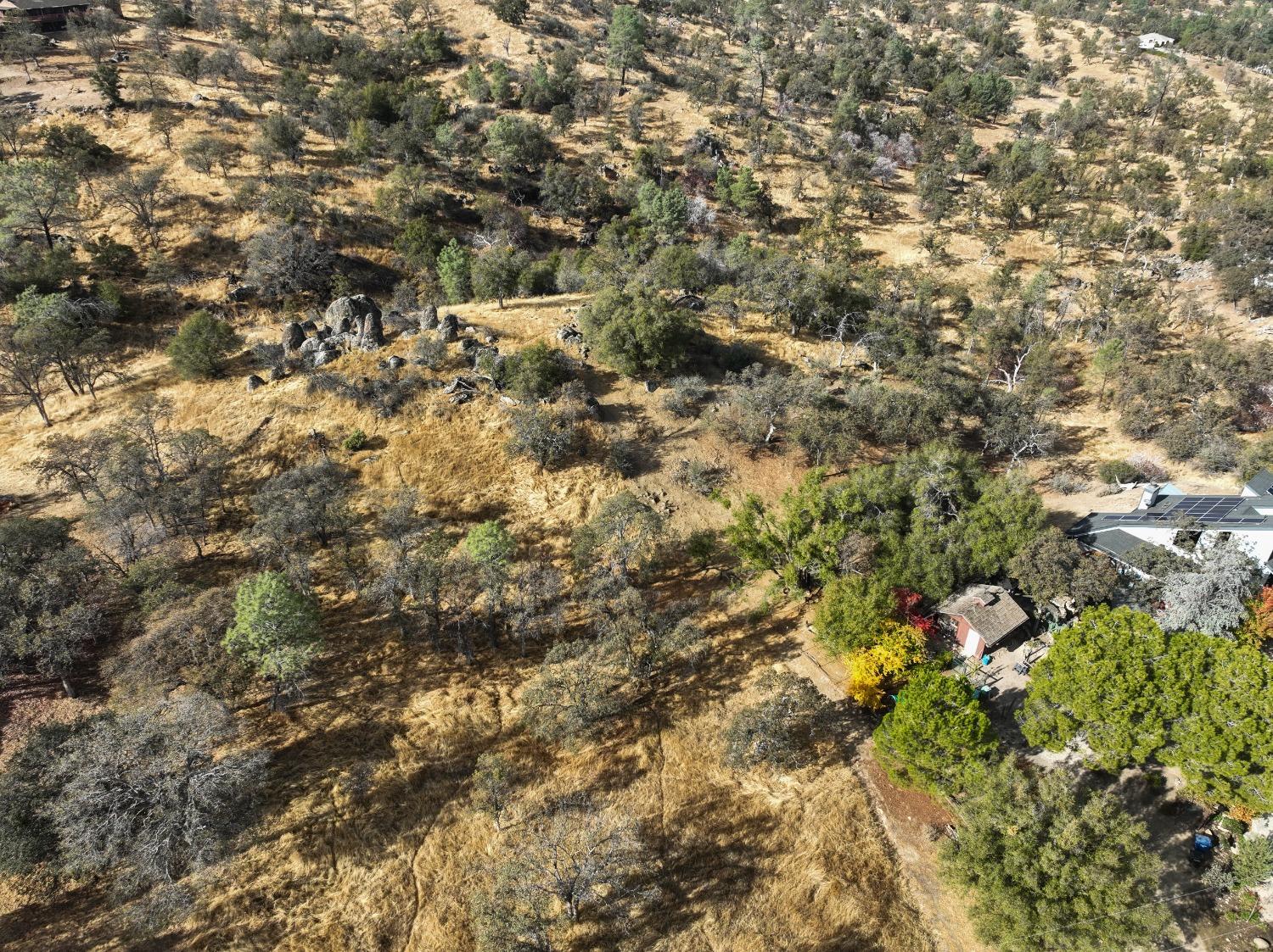 1203 Corral Dr, Coarsegold, CA 93614