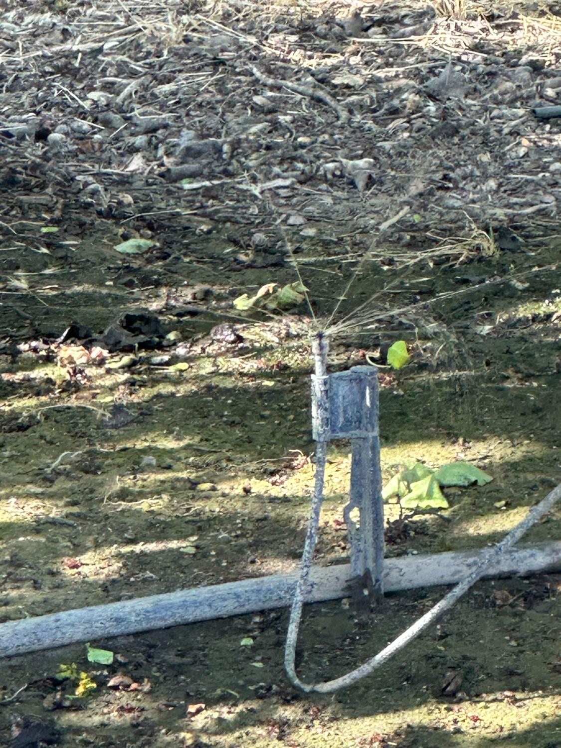 0 0 Road 11, Chowchilla, CA 93610