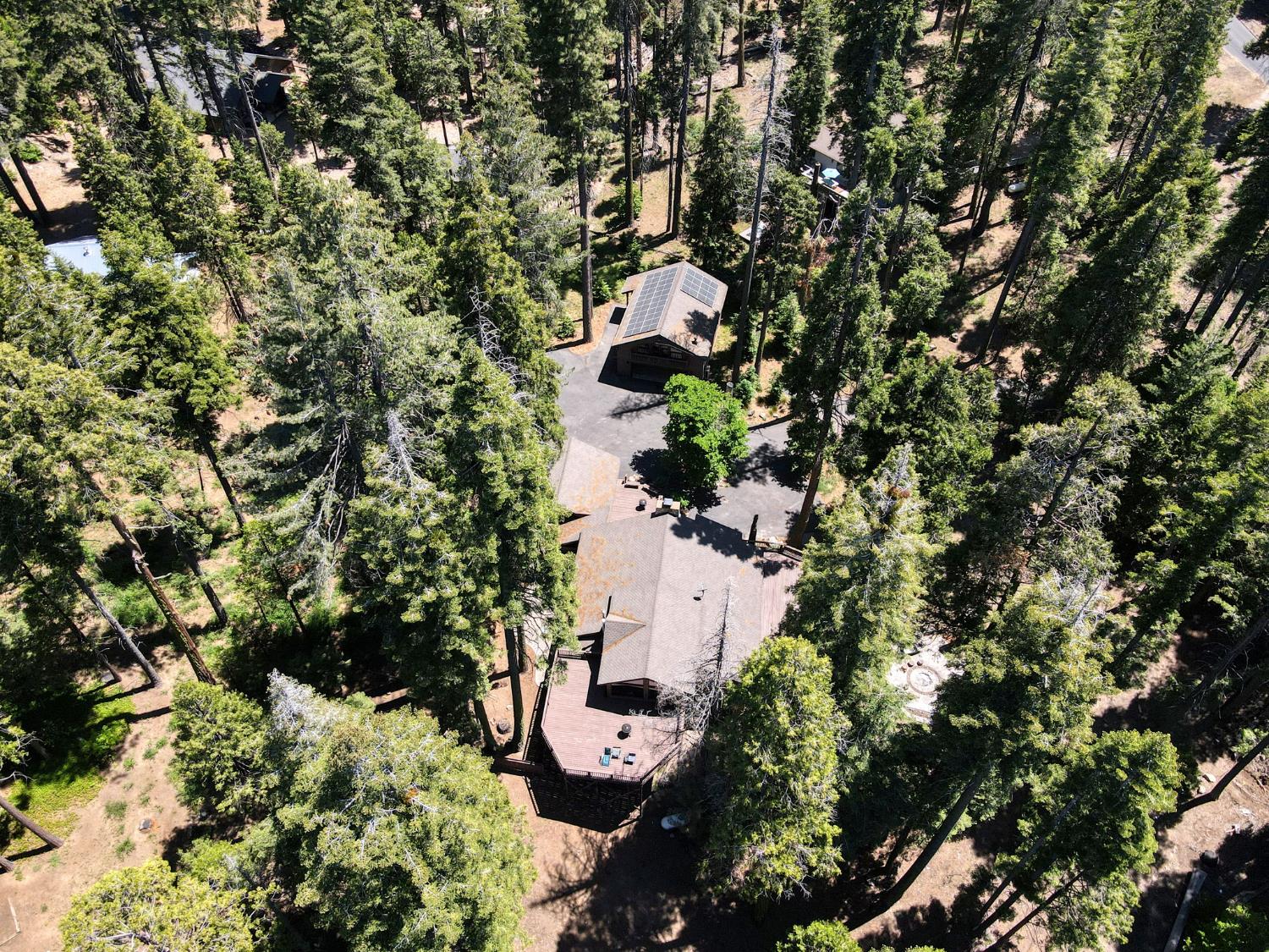 39145 Checkerbloom Ln, Shaver Lake, CA 93664