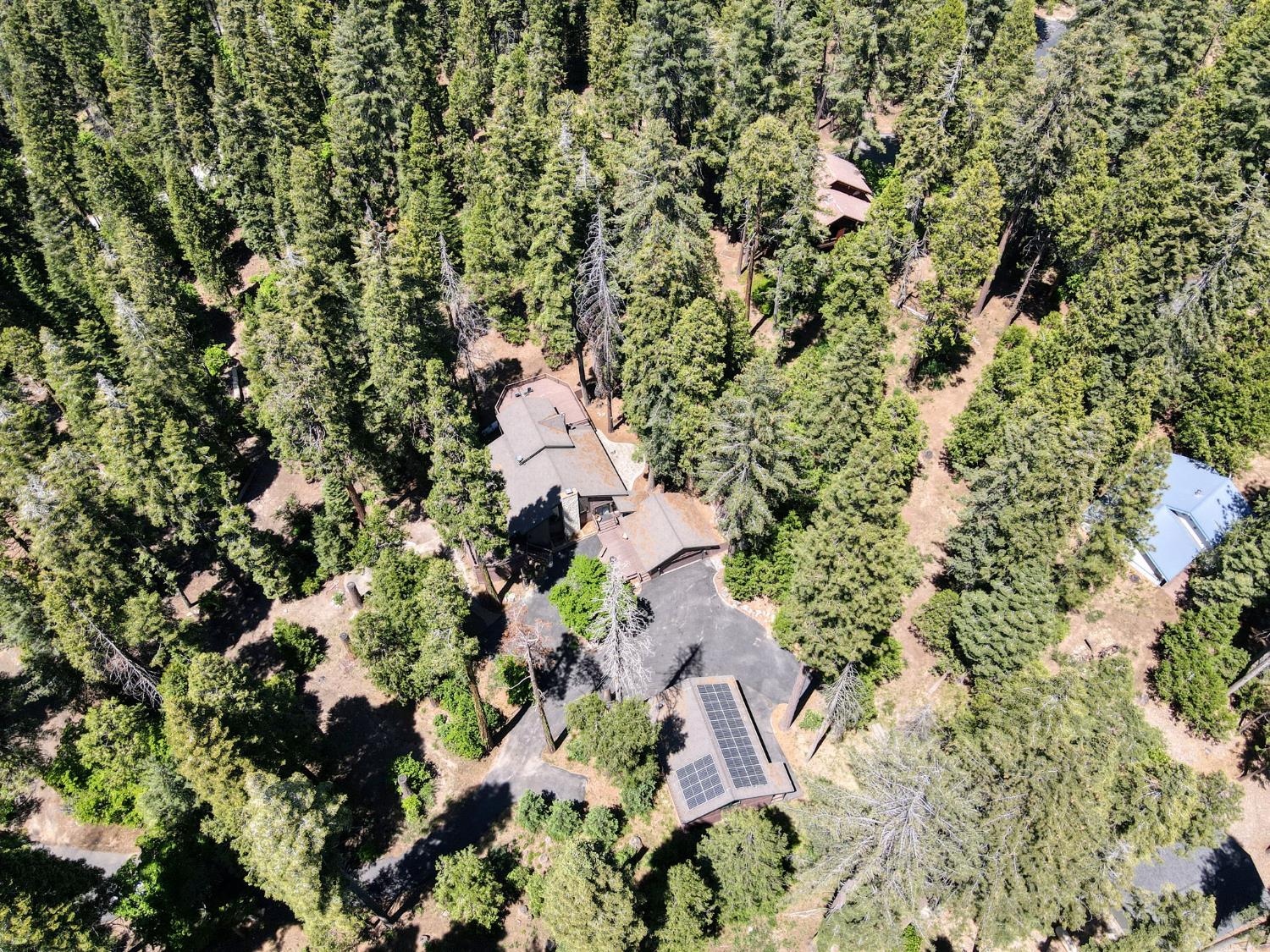 39145 Checkerbloom Ln, Shaver Lake, CA 93664