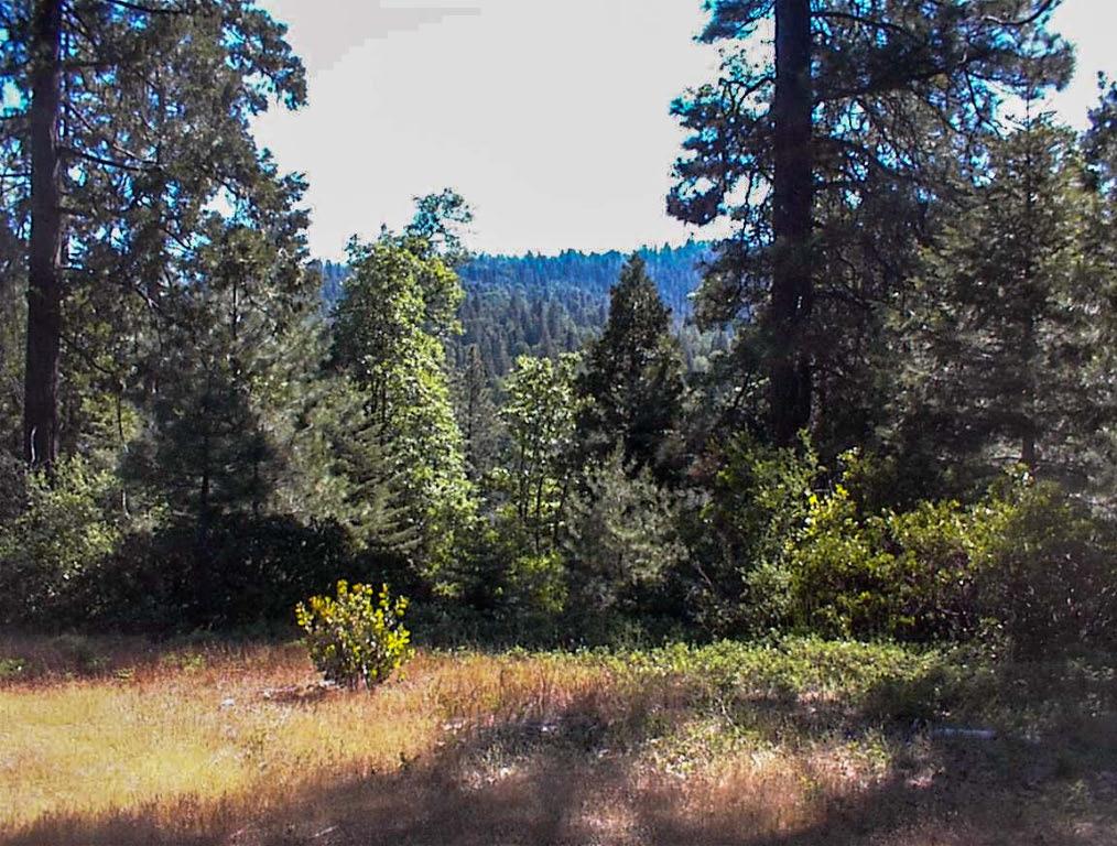 50010 Highway 180, Miramonte, CA 93641