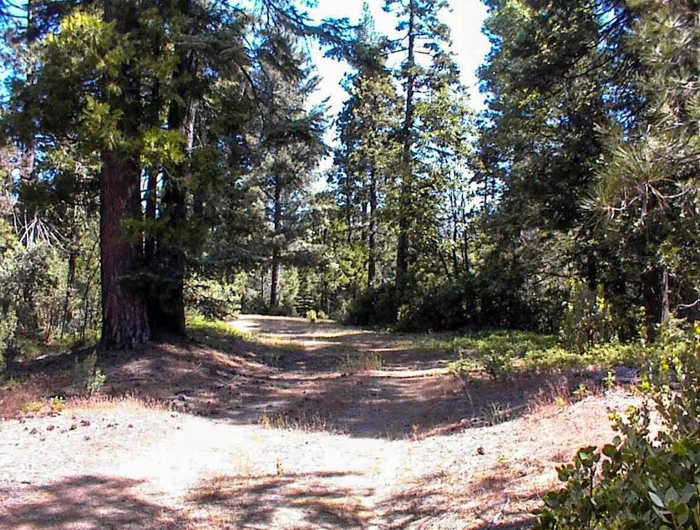 50010 Highway 180, Miramonte, CA 93641