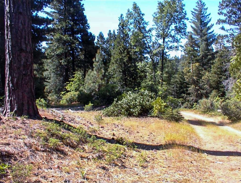 50010 Highway 180, Miramonte, CA 93641