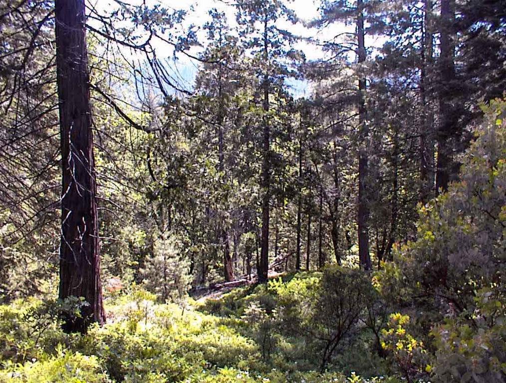 50010 Highway 180, Miramonte, CA 93641